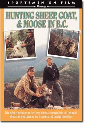 Hunting Sheep, Goat & Moose in B.C.