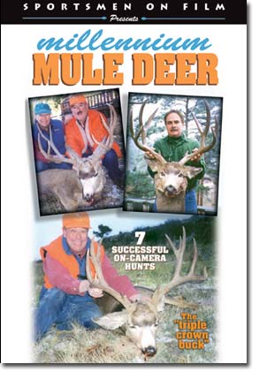 Millennium Mule Deer