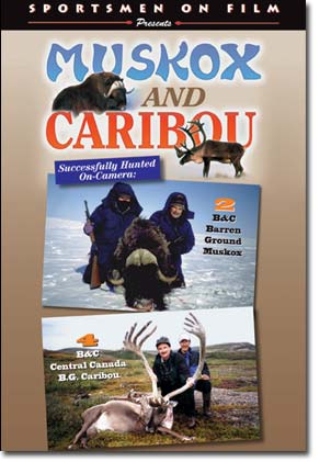 Muskox and Caribou movie