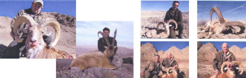 Iran Hunting