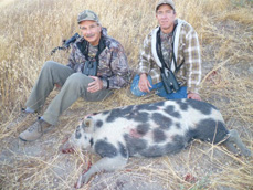 Tule Elk Hunt