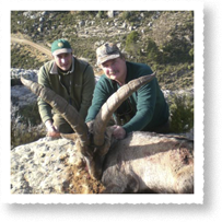 Sportsmen on Film