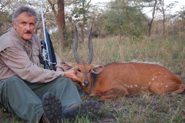 J Zindl Bushbuck