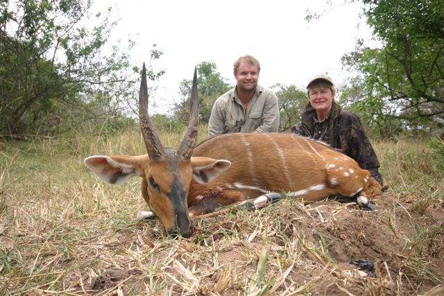 S Brewster Bushbuck