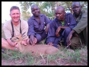 East African Bush Duiker