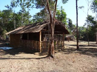 Base Camp in the Bella Forest