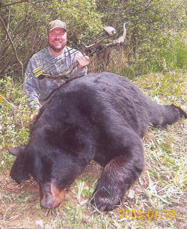 Canadian Black Bear
