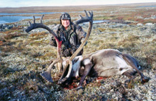 Central Canada Barren Ground Caribou