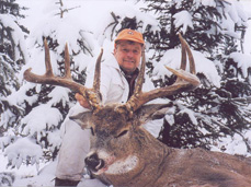 Canada Whitetail