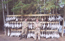 Waterfowl
